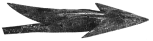 Babcock Iron Head Detail