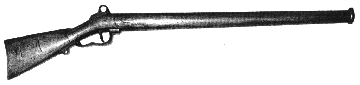 Robert Brown Gun