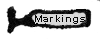 Markings